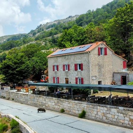 Ferme Auberge Du Col De La Vaccia Olivese Εξωτερικό φωτογραφία