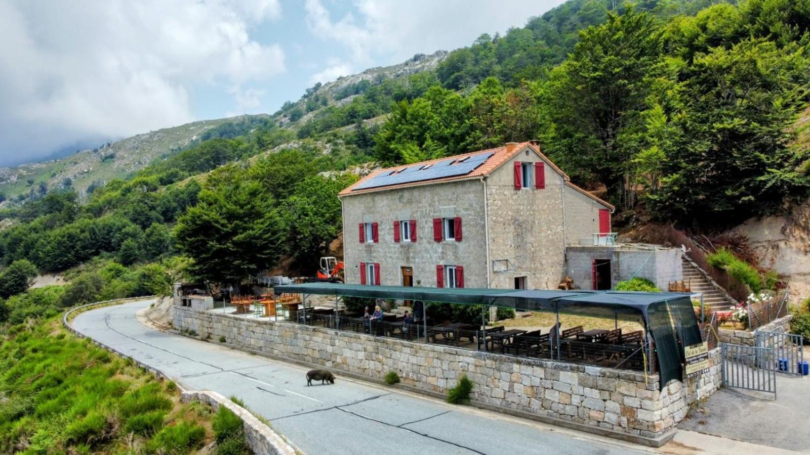 Ferme Auberge Du Col De La Vaccia Olivese Εξωτερικό φωτογραφία