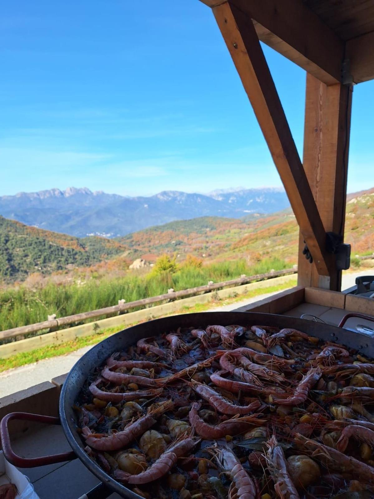 Ferme Auberge Du Col De La Vaccia Olivese Εξωτερικό φωτογραφία